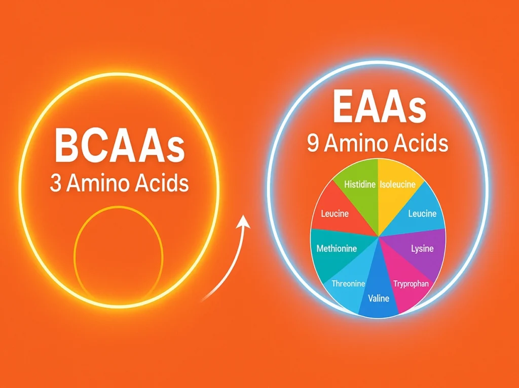Infographic comparing EAAs and BCAAs with nine essential amino acids for muscle recovery