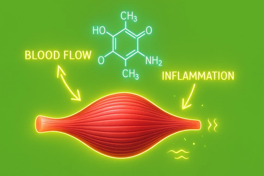 Caffeine reducing inflammation and boosting blood flow for muscle recovery