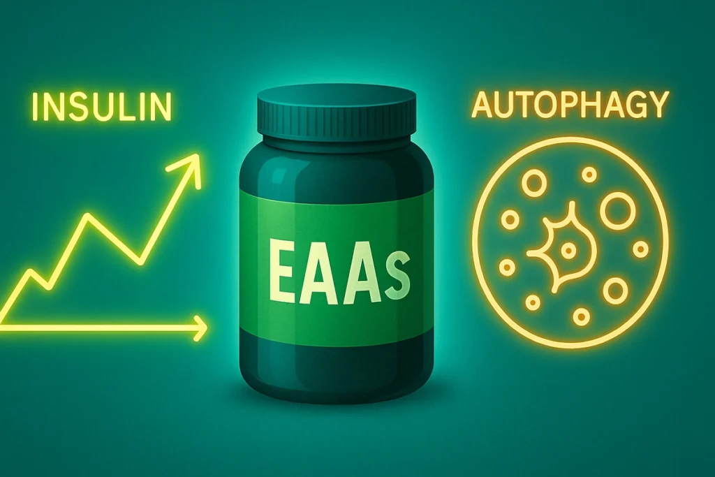 illustration of EAAs effects on insulin levels and autophagy during fasting