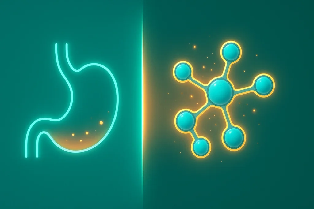 Visual representation of EAAs and fasting process