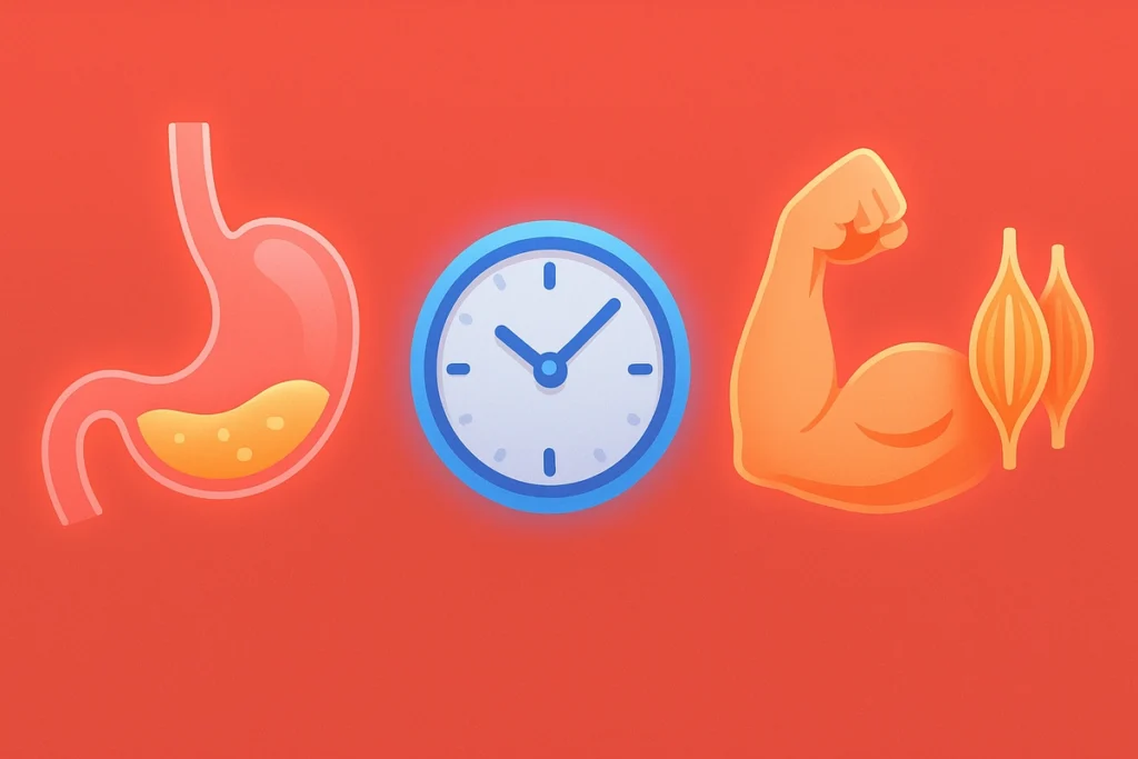 Visual of casein protein slow digestion and muscle protection process
