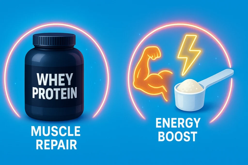 Graphic showing whey protein for muscle repair and creatine for energy